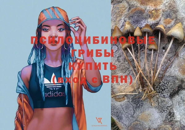 spice Алексеевка
