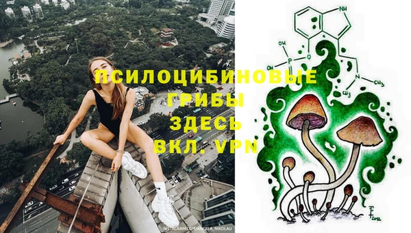 дживик Алексин