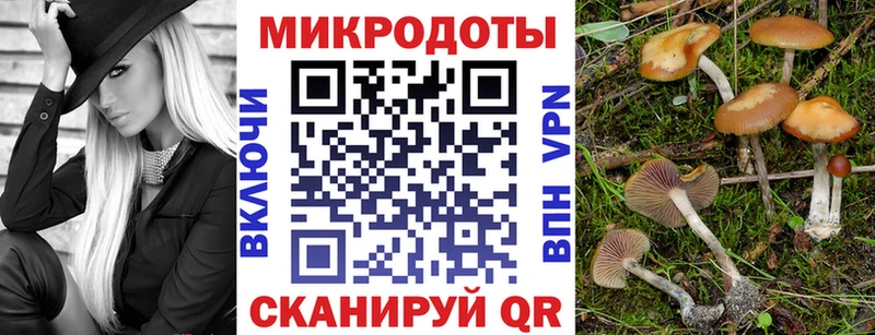 где купить наркотик  Железногорск-Илимский  Галлюциногенные грибы мухоморы 
